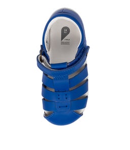 IW TIDAL BQ SAPPHIRE LEATHER