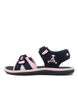 202790 FERN JNR CK NAVY PINK SMOOTH