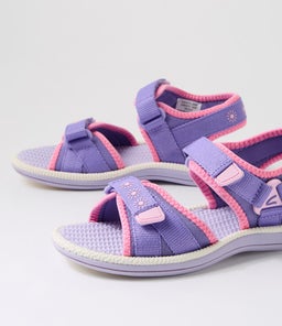 202790 FERN JNR CK PINK PURPLE SMOOTH