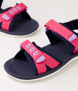 202790 FERN JNR CK NAVY LILAC RASPBERRY SMOOTH