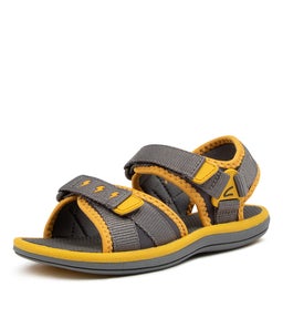 202791 FINN JNR CK GREY MUSTARD SMOOTH