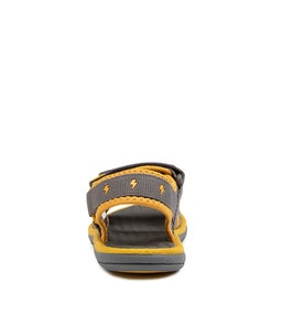 202791 FINN JNR CK GREY MUSTARD SMOOTH