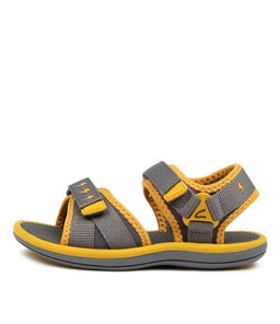202791 FINN JNR CK GREY MUSTARD SMOOTH