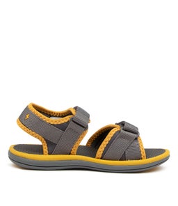 202791 FINN JNR CK GREY MUSTARD SMOOTH