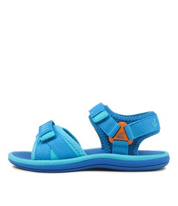 202791 FINN JNR CK BLUE AQUA SMOOTH
