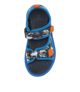202789 FISHER JNR CK NAVY BLUE SHARKS SMOOTH