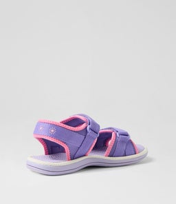202790 FERN TOT CK PINK PURPLE SMOOTH