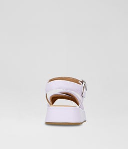 LUCIA JUNIOR CK PURPLE SMOOTH